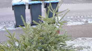 Abschied vom Weihnachtsbaum in Hemer - IKZ