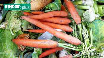 Containern: Wenn Müll in Hemer zum Streitfall wird - IKZ