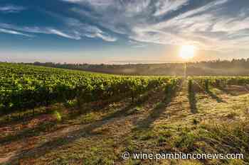 Cantina Terlano apre la classifica Wines of The Year 2021 - Wine Pambianco - Pambianco Design