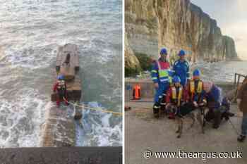 Dog rescued in Peacehaven by Newhaven Coastguard