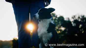 This Week in Agribusiness, January 15, 2022