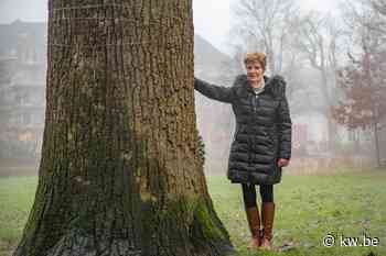 Gemeenterapport voor Tielt: aantal lastige dossiers uit het slop, maar nog enkele stevige uitdagingen - KW.be