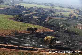 Après l'incendie de Gonfaron cet été, la plaine des Maures va-t-elle devenir un parc naturel régional ? - Var-Matin