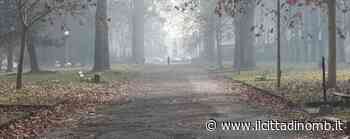 Monza, pusher arrestato in flagranza ai Boschetti reali - Il Cittadino di Monza e Brianza