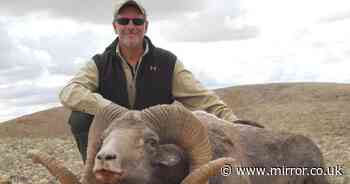 Big-game hunter dentist accused of murdering wife on African safari for the insurance