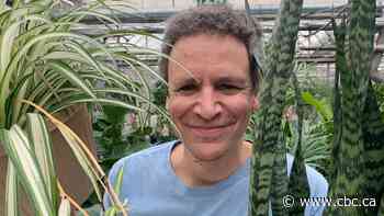 The best plants for cleaning the air in your home