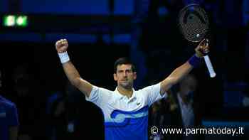 associazioni animaliste di parma (meta parma e avi parma) solidali con novak djokovic. - ParmaToday