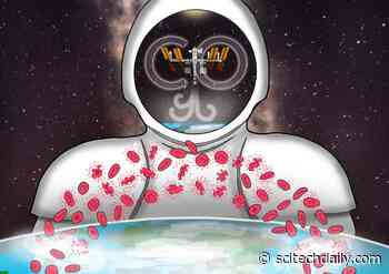 Space Anemia: Being in Space Destroys More Red Blood Cells