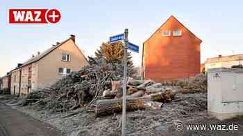 Mietwohnungen: Vivawest plant Neubauten in Essen-Heisingen - WAZ News