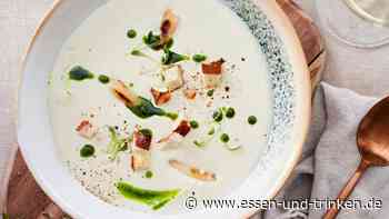 Schwarzwurzelsuppe mit Kräuteröl Rezept - ESSEN & TRINKEN