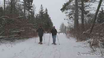 Tourism groups hope winter trail pilot help make Cavendish a year-round destination - CBC.ca