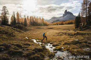 Off-Trail Trampling Has Lasting Impacts - JSTOR Daily