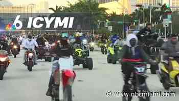 ICYMI: Cops Cracking Down on MLK Day Rideout, Trapped Baby Dolphin Rescued by Miami-Dade Officer