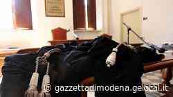 Modena. Non si rassegna all'addio: stalking tra pensionati - La Gazzetta di Modena