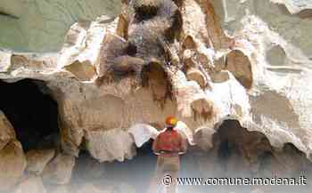 Introduzione alla speleologia - Comune di Modena