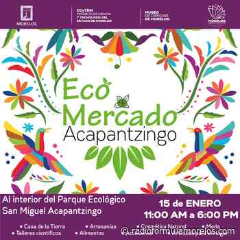 Arranca Eco Mercado edición 2022 en el parque San Miguel Acapantzingo - RadioFormula Morelos