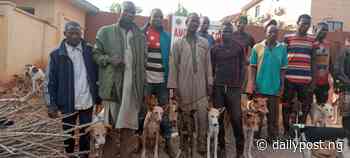 Amotekun arrestes 17 northerners with 35 dogs, charms, cutlasses in Ondo [PHOTOS] - Daily Post Nigeria