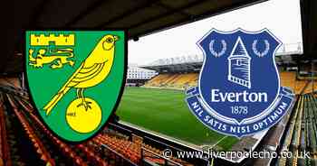 Norwich City vs Everton LIVE - latest score, Michael Keane own goal, Idah and Richarlison goals, commentary stream