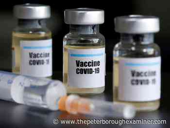 Tracking the COVID vaccine rollout in Peterborough - ThePeterboroughExaminer.com