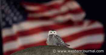 Picture This: Top Photos of the Week
