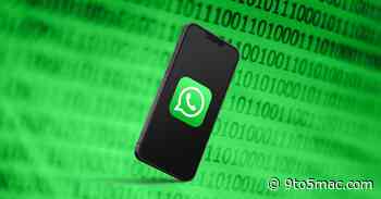 WhatsApp for iOS adds settings to manage long-anticipated Reactions feature