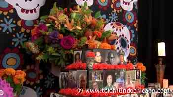 Familias recuerdan a sus angelitos en el Día de Todos los Santos - Telemundo Chicago
