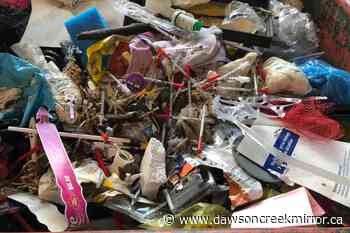 City to pay for additional recycling monitoring, enforcement - Dawson Creek Mirror