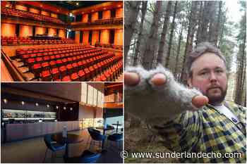 Win tickets and drinks to see Richard Dawson at Sunderland's new Fire Station Auditorium - Sunderland Echo