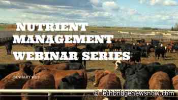 Lethbridge College to hold nutrient management webinar series - Lethbridge News Now