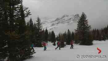 Where to cross-country ski in and around Calgary - Globalnews.ca