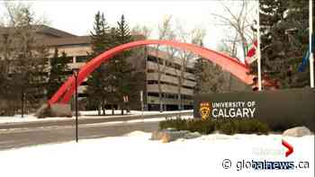 Calgary post-secondary schools extend online learning - Globalnews.ca