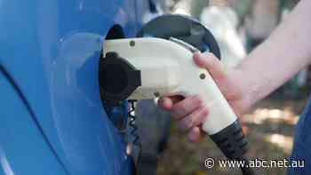 Electric cars cost this family around $1 to run for every 100km, but the vehicles are still out of reach for most people