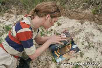 In ‘Station Eleven,’ the arts outlast an apocalypse - The Boston Globe