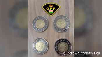 Deadly explosion at an Ottawa workplace: Top stories in Ottawa this week - CTV Edmonton