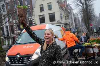 Tulips for Amsterdam: Growers hand out free flowers - St Helens Star