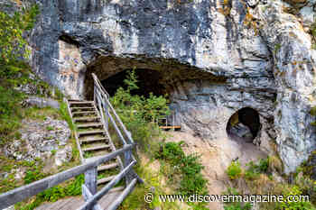 Who Were the Denisovans?
