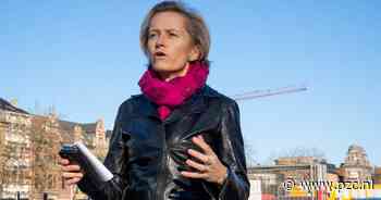 Strategisch Ruimteplan Antwerpen uit de startblokken: “Meer groen en band met Schelde herstellen” - PZC