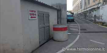 Termoli: Tamponi Asrem, «Operatori professionali e gentili» - Termoli Online