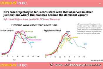 B.C.’s Omicron wave following world pattern of peaking, declining - Omineca Express