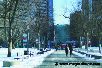 McGill denies School of Social Work's decision to hold classes virtually until February 25 - McGill Tribune