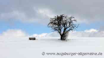 Wenn Geld vom Himmel fällt: Landesamt sucht Schneebeobachter - Augsburger Allgemeine