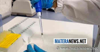 Coronavirus Basilicata: Matera il comune con più nuovi contagi. Ecco gli ultimi dati - Matera News