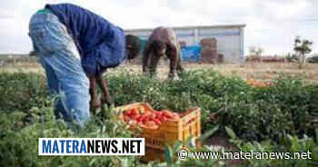 Provincia di Matera: migranti in casolari abbandonati e in condizioni di estrema precarietà. La richiesta - Matera News