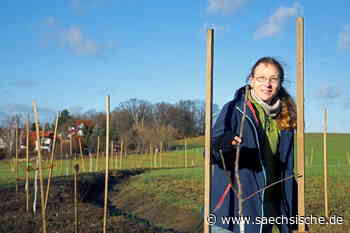 Riesa: Riesaer Feld verwandelt sich in alternative Gärtnerei - Sächsische.de