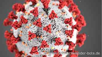 Corona im Kreis Calw - Zahl der Neuinfektionen weiter rückläufig - Schwarzwälder Bote