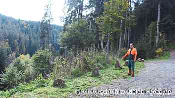 Förderung im Schadensfall: Neuweiler Waldbesitzer beklagt "Kompetenzgerangel" von Behörden