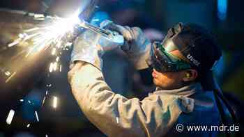 Studie unterstreicht Bedeutung von Zuwanderern für die Wirtschaft - MDR
