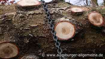 33-jähriger Wessobrunner verletzt sich bei Forstarbeiten schwer