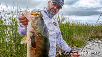 Flipping and Pitching Mats for Bass | Greg Hackney Brain Dump - Wired2Fish