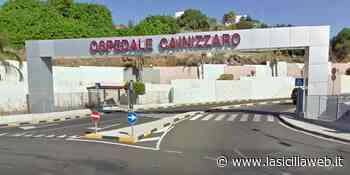 Catania: in ginecologia positive ma asintomatiche - lasiciliaweb | Notizie di Sicilia